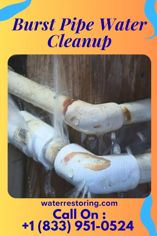 Burst Pipe Water Cleanup in Ellenboro, WV