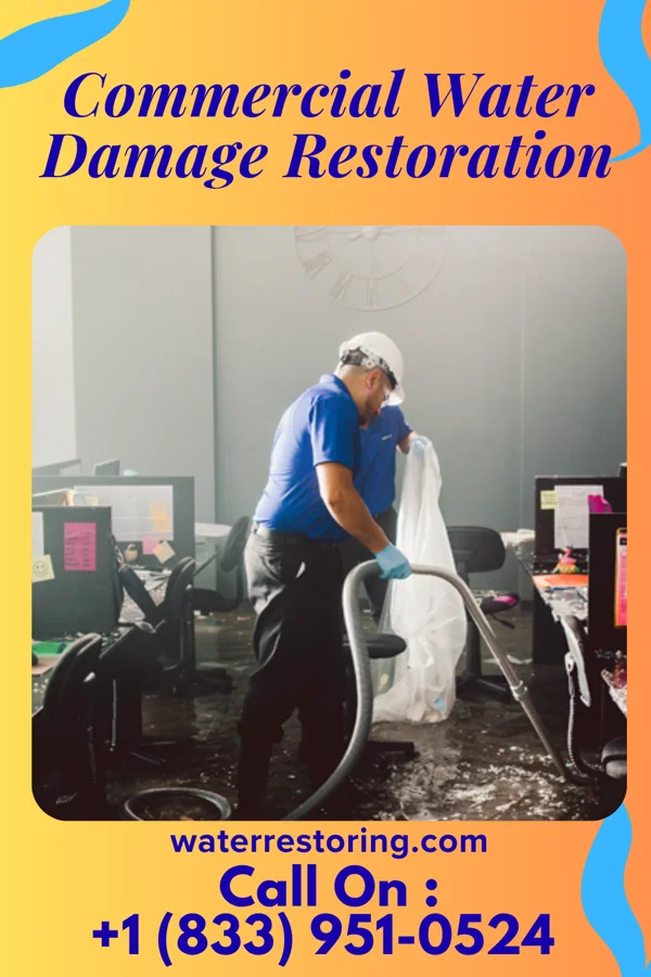 Commercial Water Damage Restoration in Ellenboro, WV