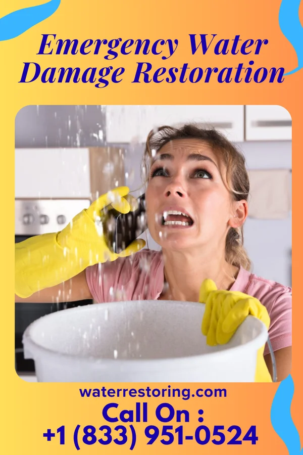 Emergency Water Damage Restoration in Ellenboro, WV