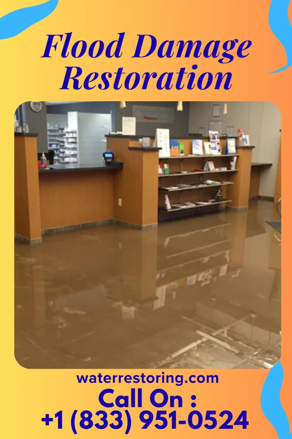 Flood Damage Restoration in Ellenboro, WV