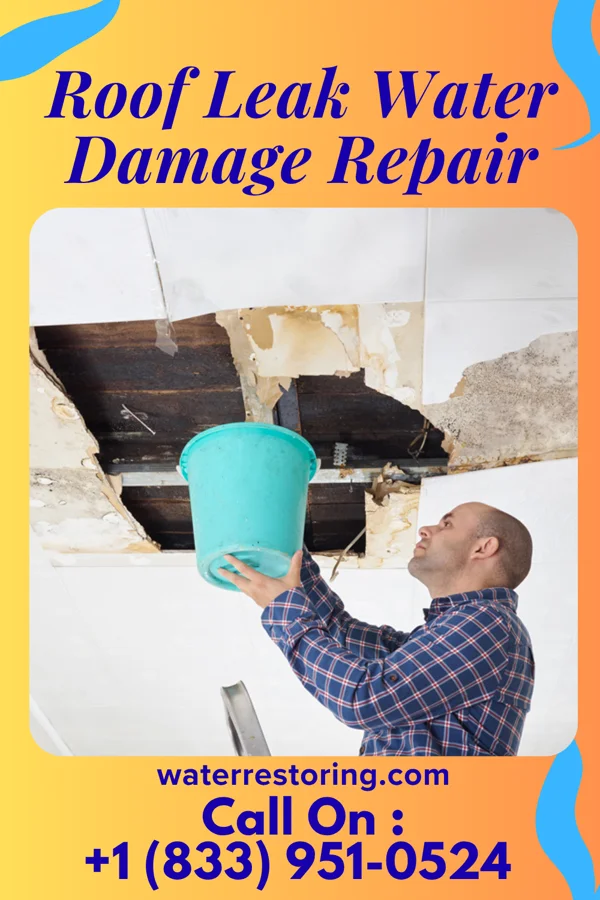 Roof Leak Water Damage Repair in Ellenboro, WV