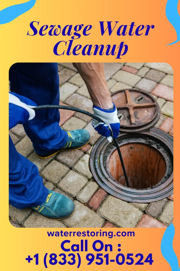 Sewage Water Cleanup in Ellenboro, WV
