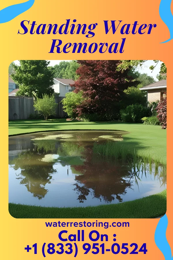Standing Water Removal in Ellenboro, WV